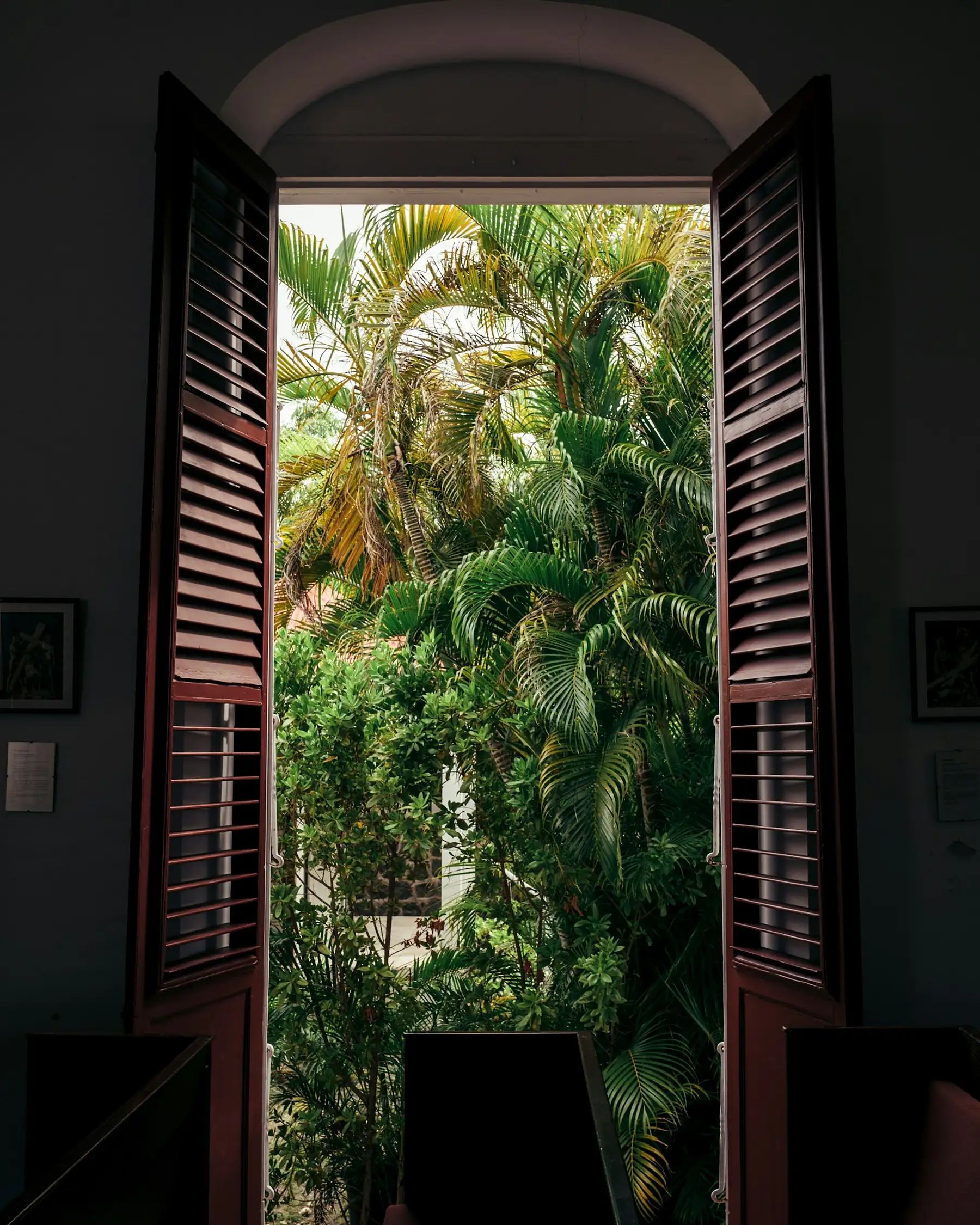 A dark room with its shutters folded back onto a wall of palms.