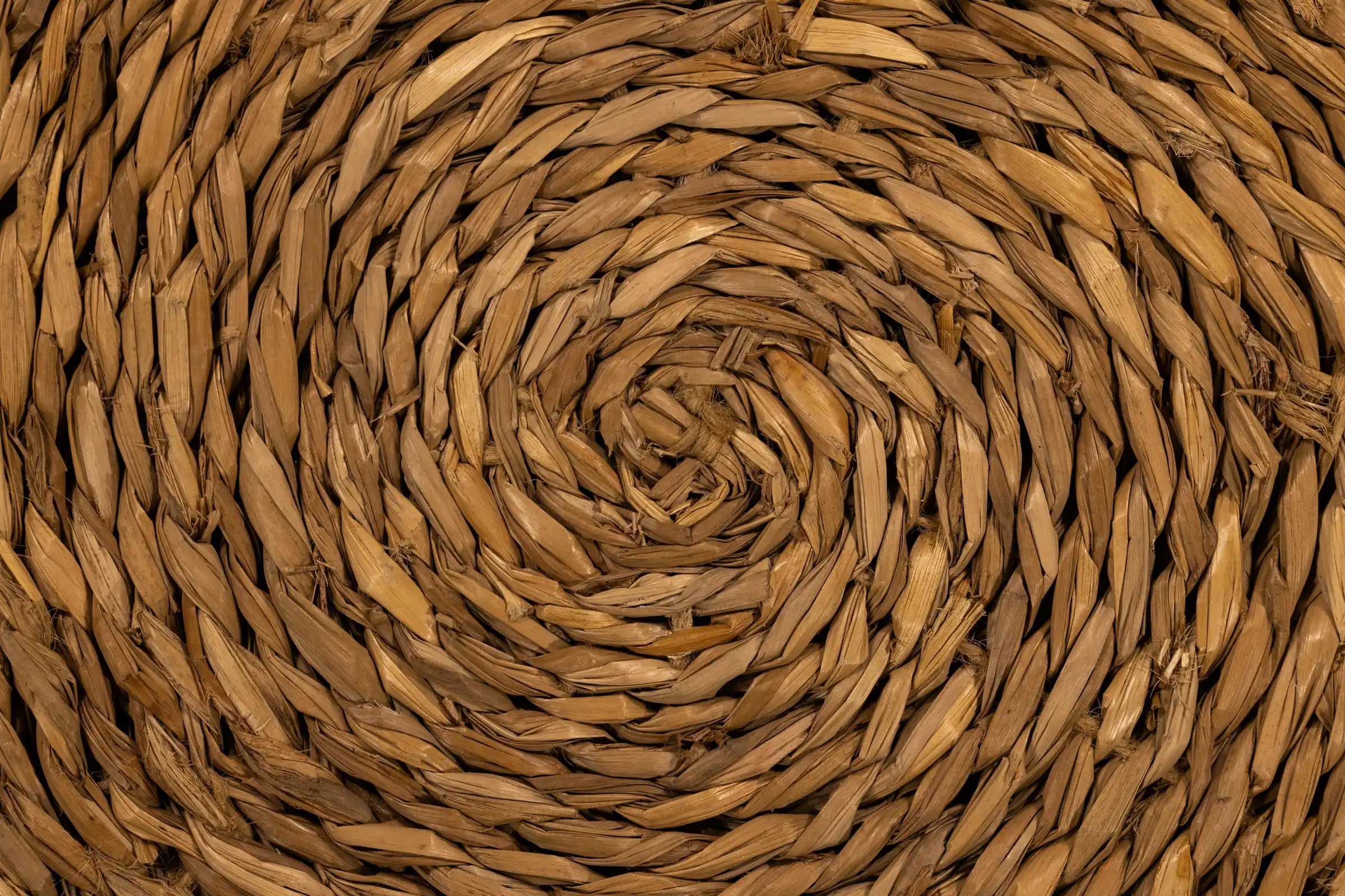 The spiral weave of a palm fibre basket, the light falling away on one side.