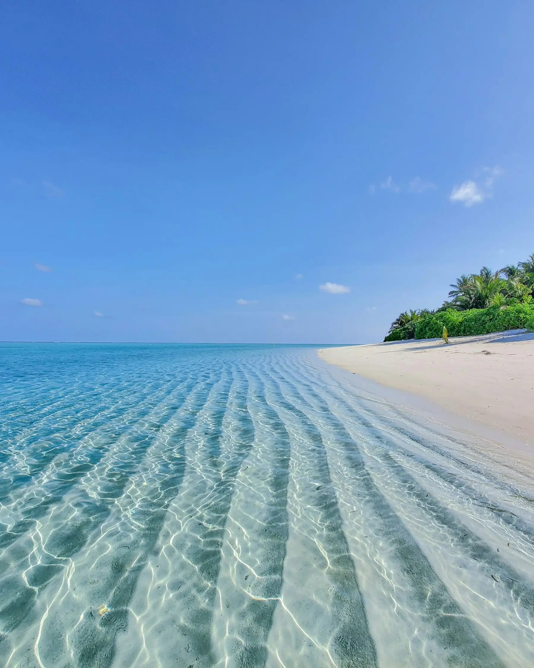 Ribbed sand under shallow, completely clear water.