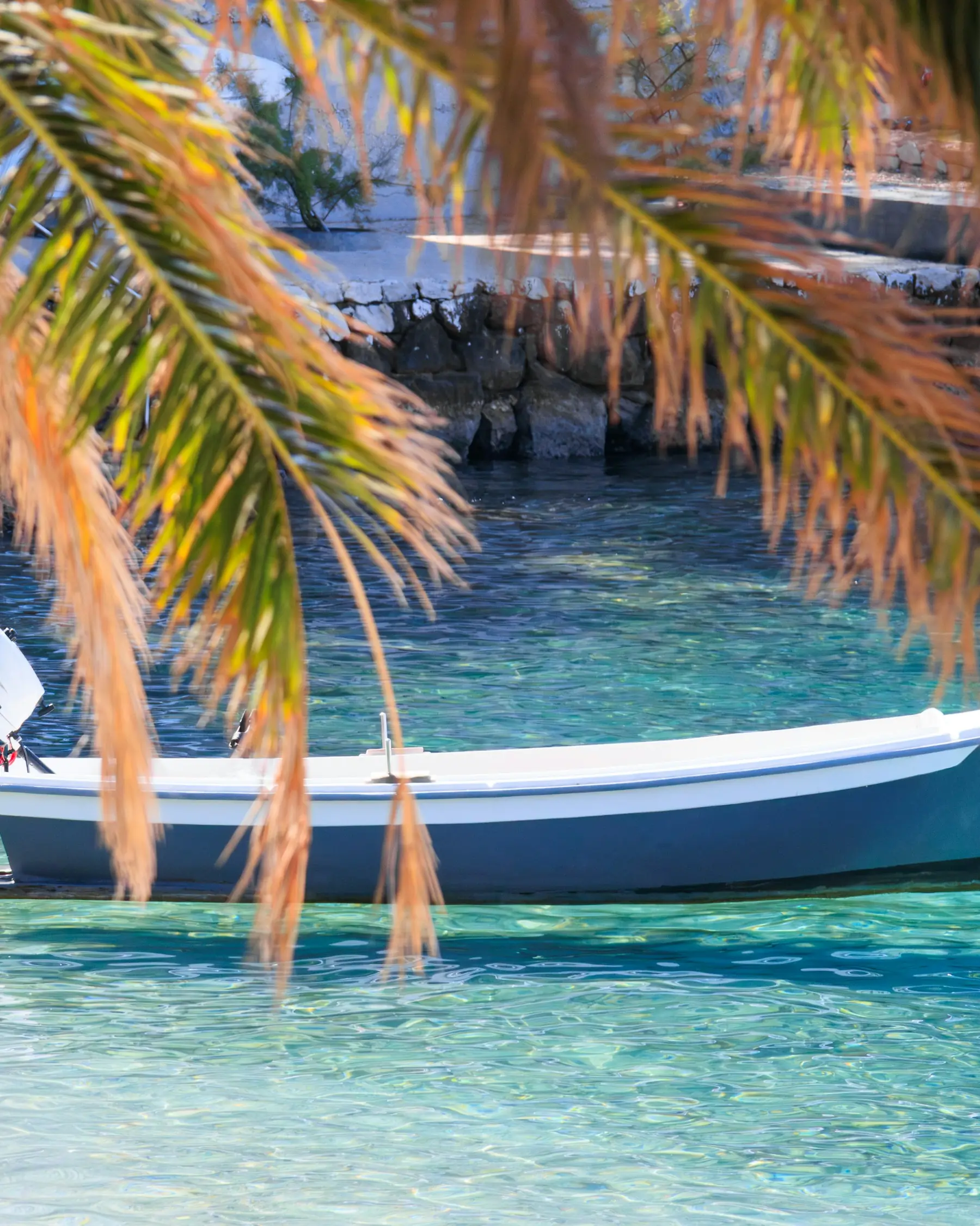 A small white boat lying on clear water, seen through a palm frond.
