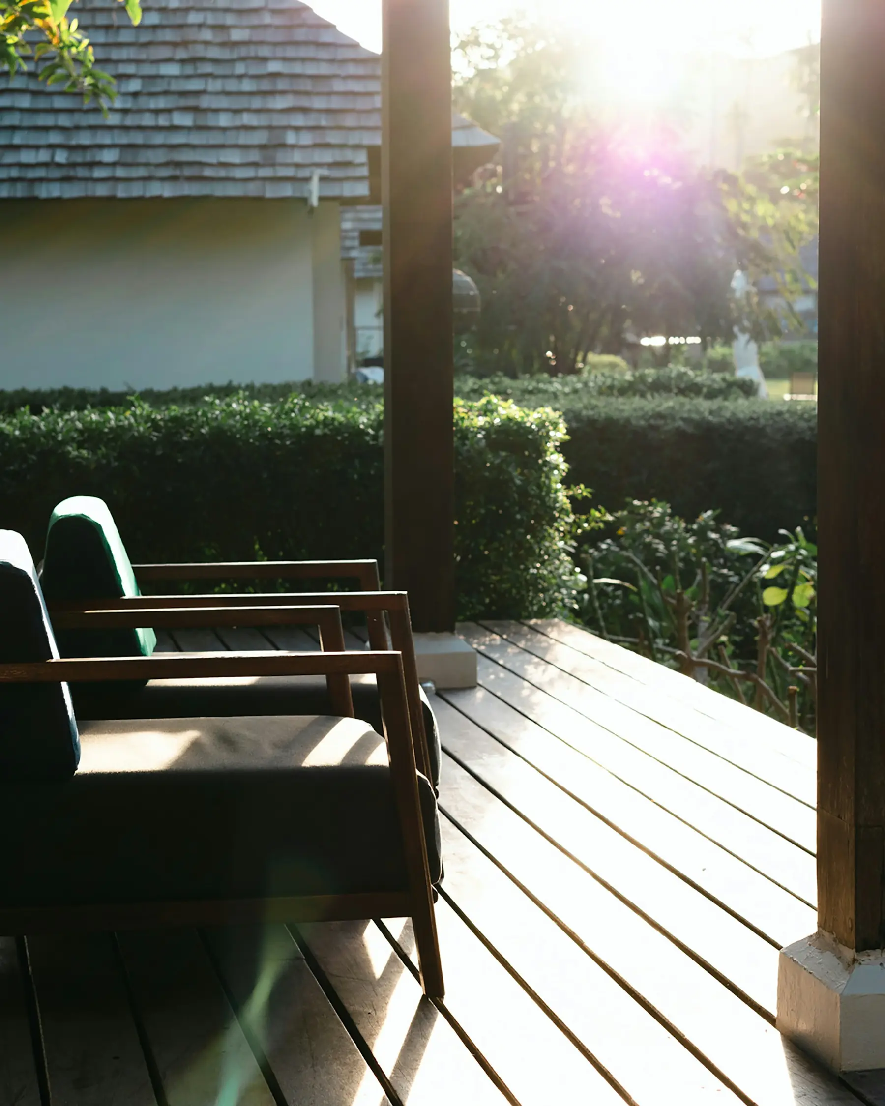 Two chairs on a timber deck, low sun coming through the planting.