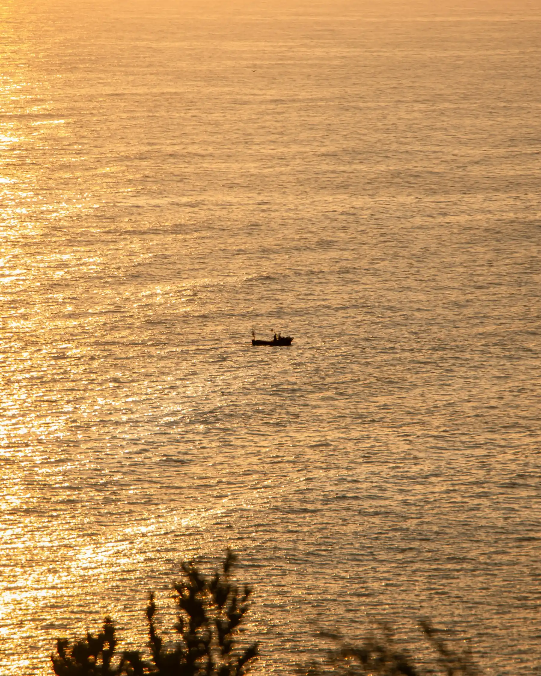 Late sun laid flat across the water, seen from above the roofline.